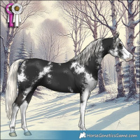 Horse Color:Liver Chestnut Mushroom Sabino 