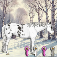 Horse Color:Liver Chestnut Mushroom Sabino 