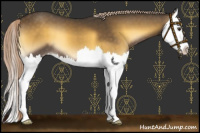 Horse Color:Chocolate Palomino Onyx Splash 