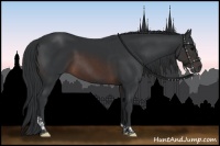 Horse Color:Brown Tobiano 