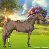 Horse Color:Liver Red Dun 