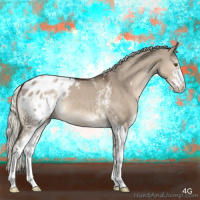 Horse Color:White Spotted Liver Red Dun Mushroom Sabino Appaloosa 