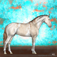 Horse Color:White Spotted Red Dun Roan Brindle 