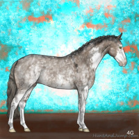Horse Color:White Spotted Liver Red Dun Mushroom Sabino 