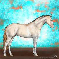 Horse Color:White Spotted Gold Champagne Dun Brindle 