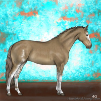 Horse Color:White Spotted Chocolate Palomino Dun Brindle 