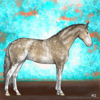 Horse Color:White Spotted Chocolate Palomino Dun Mushroom Sabino Brindle 