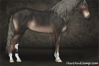 Horse Color:Liver Chestnut Mushroom 