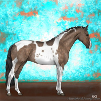 Horse Color:Brown Dun Tobiano Rabicano Brindle 