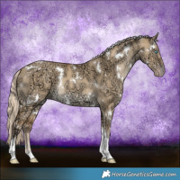 Horse Color:White Spotted Gold Cream Champagne Ice Dun Tobiano Rabicano
