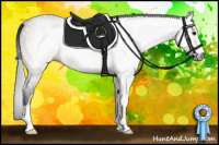 Horse Color:Gray Buckskin Sabino 