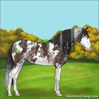Horse Color:White Spotted Brown Mushroom Splash 