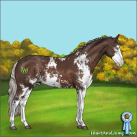 Horse Color:Silver Brown Mushroom Sabino