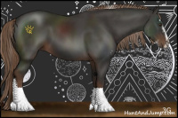 Horse Color:Liver Chestnut Sabino 