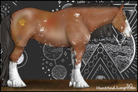 Horse Color:Bay Sabino Rabicano 