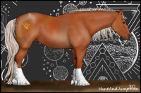 Horse Color:Silver Bay Sabino Tobiano 