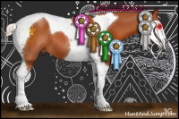 Horse Color:Silver Bay Sabino Tobiano 