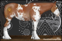 Horse Color:Bay Sabino 