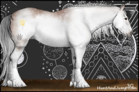 Horse Color:Gray Brown Sabino Frame Rabicano 