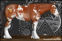 Horse Color:Bay Sabino 