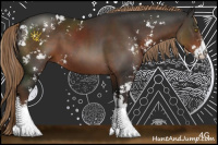 Horse Color:Liver Chestnut Sabino 