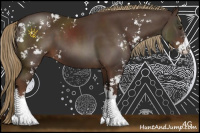 Horse Color:Liver Chestnut Sabino 