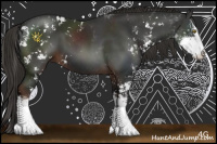 Horse Color:Liver Chestnut Sabino 