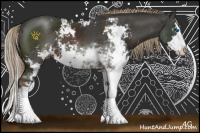 Horse Color:Liver Chestnut Sabino Splash 