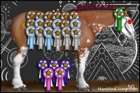 Horse Color:Bay Sabino 