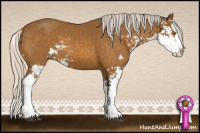 Horse Color:Silver Buckskin Sabino Splash 