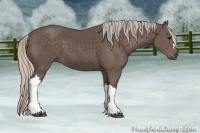 Horse Color:Silver Black 
