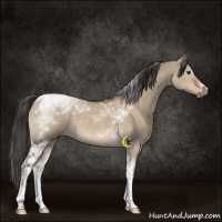 Horse Color:Liver Red Dun Sabino Tobiano