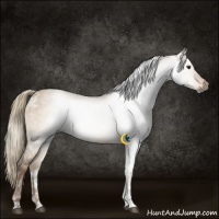 Horse Color:Gray Liver Red Dun Tobiano 