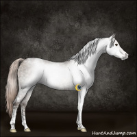 Horse Color:Gray Liver Red Dun Ice Tobiano 