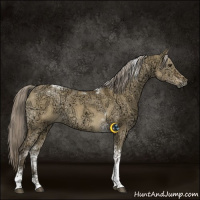 Horse Color:Chocolate Palomino Ice Dun Tobiano 