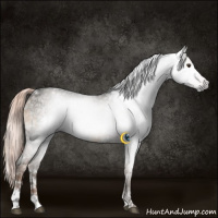 Horse Color:Gray White Spotted Liver Red Dun Tobiano  and White Spotted Liver Red Dun Ice Tobiano 