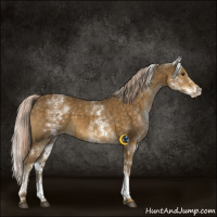 Horse Color:White Spotted Chocolate Palomino Varnish 