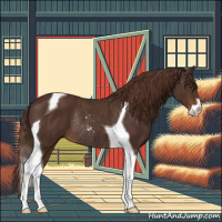 Horse Color:Liver Chestnut Sabino Tobiano Rabicano