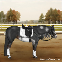 Horse Color:White Spotted Liver Chestnut Sabino Frame 