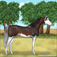 Horse Color:Brown Splash 