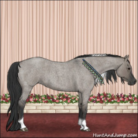 Horse Color:Grullo Roan Tobiano