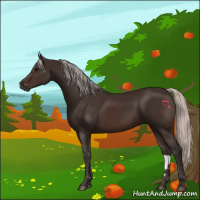 Horse Color:Silver Brown 