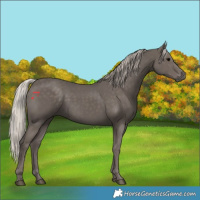 Horse Color:Silver Black 