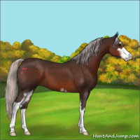 Horse Color:Silver Brown Sabino