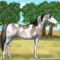 Horse Color:White Spotted Brown Dun Mushroom Splash 