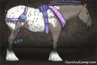 Horse Color:Grullo Appaloosa 