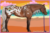 Horse Color:Silver Bay Near Leopard