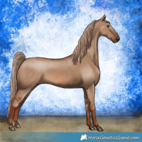Horse Color:Red Dun 