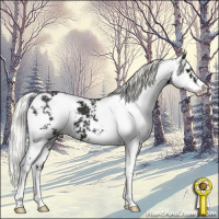 Horse Color:Liver Chestnut Mushroom Sabino 