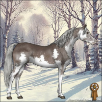 Horse Color:Liver Chestnut Mushroom Sabino Splash 